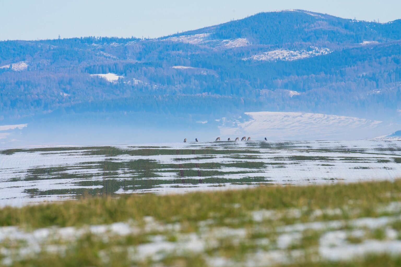 pexels-michal-petras-2152077115-35012697